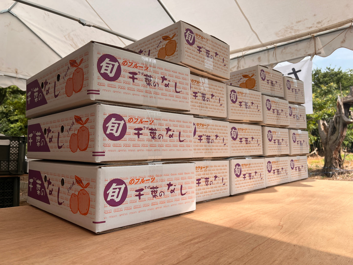 【幸水】贈答用 大玉3kg｜千葉の梨農家から朝採れ直送【予約販売】