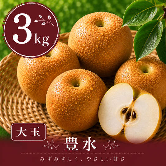 【豊水】贈答用 大玉3kg｜千葉の梨農家から朝採れ直送【予約販売】