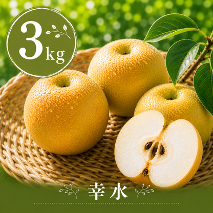 【幸水】贈答用 3kg サイズおまかせ｜千葉の梨農家から朝採れ直送【予約販売】