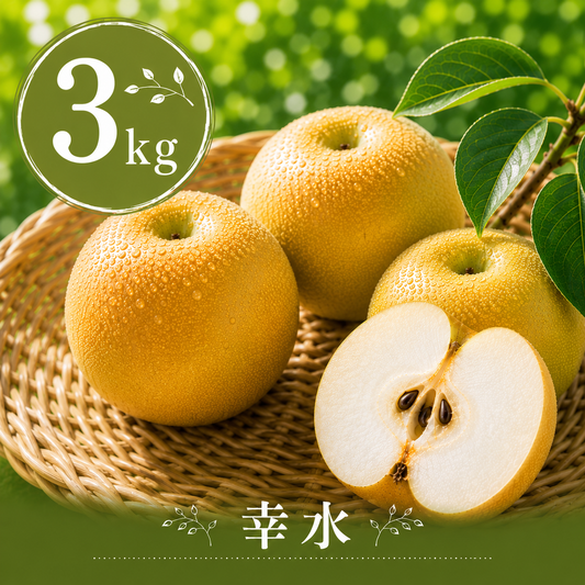 【幸水】贈答用 3kg サイズおまかせ｜千葉の梨農家から朝採れ直送【予約販売】
