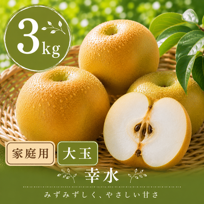 【幸水】家庭用 大玉3kg｜千葉の梨農家から朝採れ直送【予約販売】