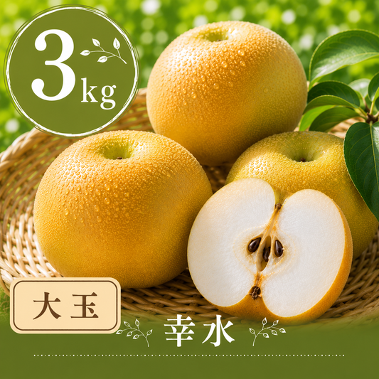 【幸水】贈答用 大玉3kg｜千葉の梨農家から朝採れ直送【予約販売】