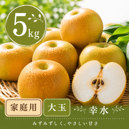【幸水】家庭用 大玉5kg｜千葉の梨農家から朝採れ直送【予約販売】