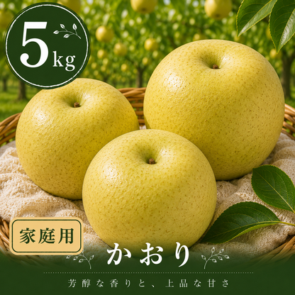 【かおり】家庭用 大玉5kg｜千葉の梨農家から朝採れ直送【予約販売】