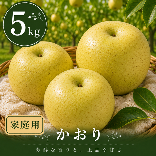 【かおり】家庭用 大玉5kg｜千葉の梨農家から朝採れ直送【予約販売】