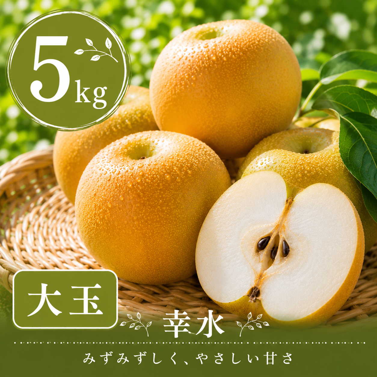 【幸水】贈答用 大玉5kg｜千葉の梨農家から朝採れ直送【予約販売】