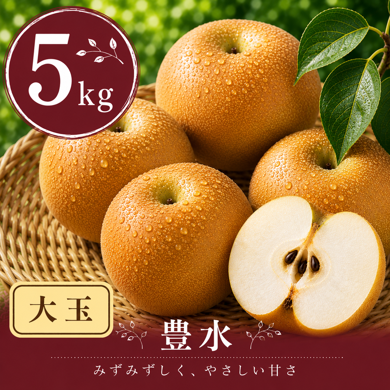 【豊水】贈答用大玉5kg｜千葉の梨農家から朝採れ直送【予約販売】