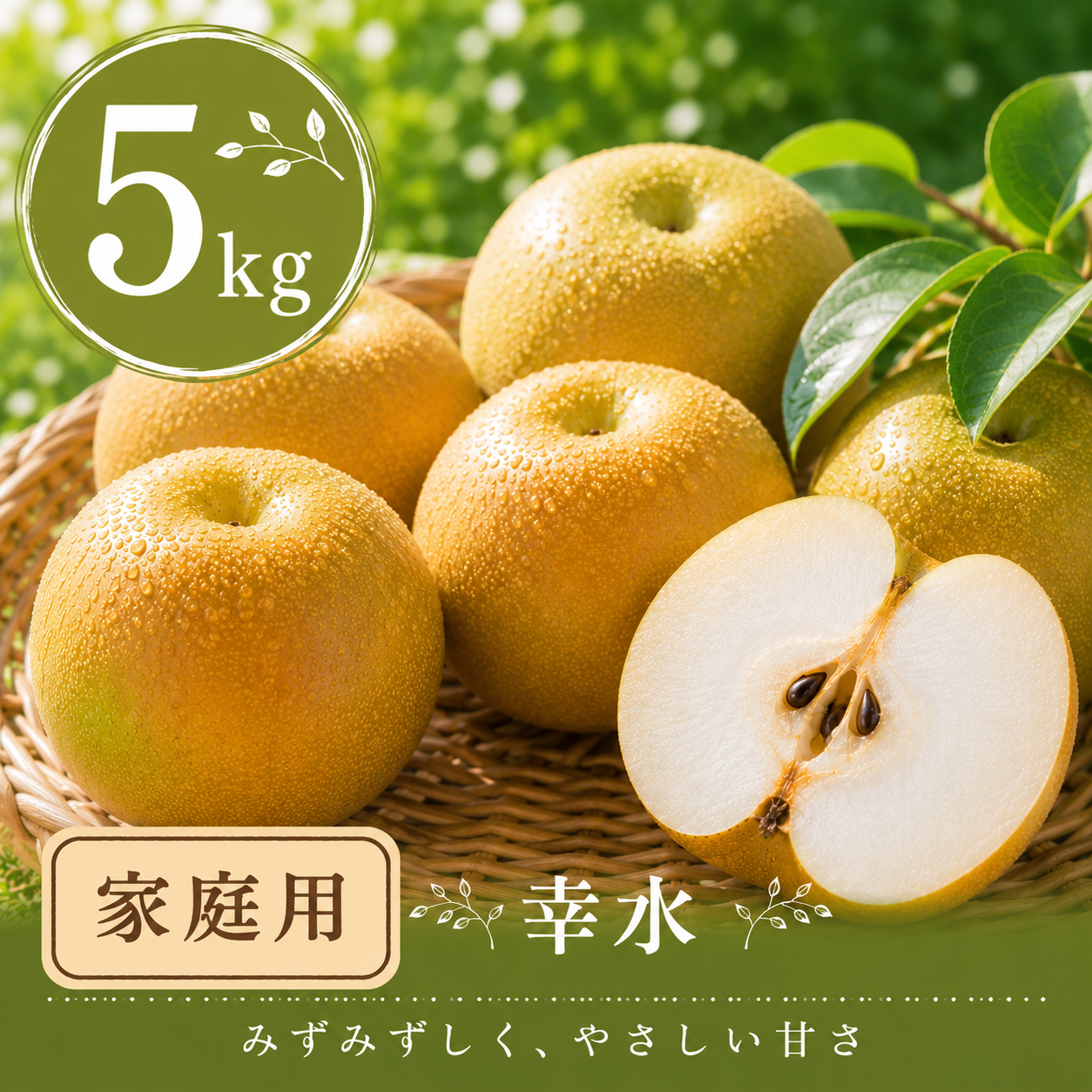 【幸水】家庭用 5kg サイズおまかせ｜千葉の梨農家から朝採れ直送【予約販売】