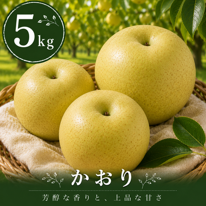 【かおり】贈答品 大玉5kg｜千葉の梨農家から朝採れ直送【予約販売】