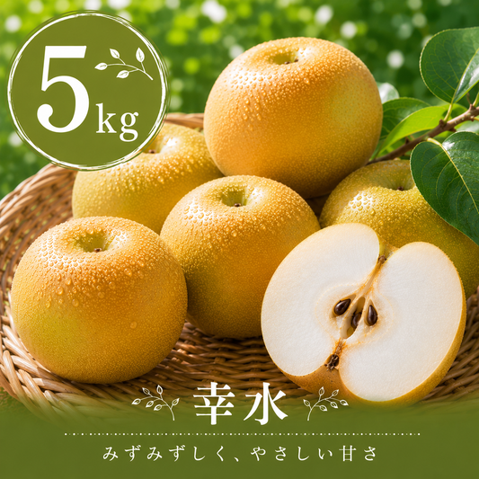 【幸水】贈答用 5kg サイズおまかせ｜千葉の梨農家から朝採れ直送【予約販売】